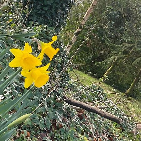 Ballyhoura Mountain Lodges Ballyorgan Luaran gambar