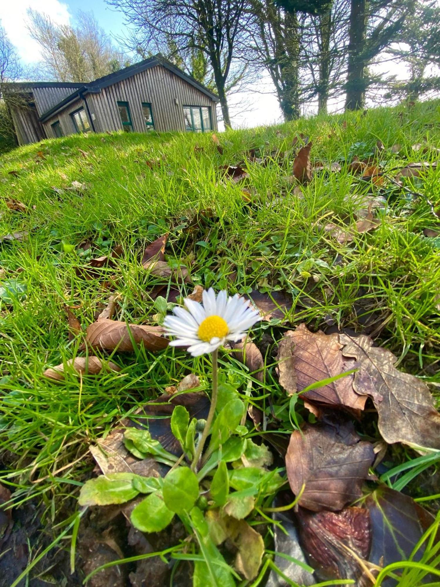 Ballyhoura Mountain Lodges Ballyorgan Luaran gambar
