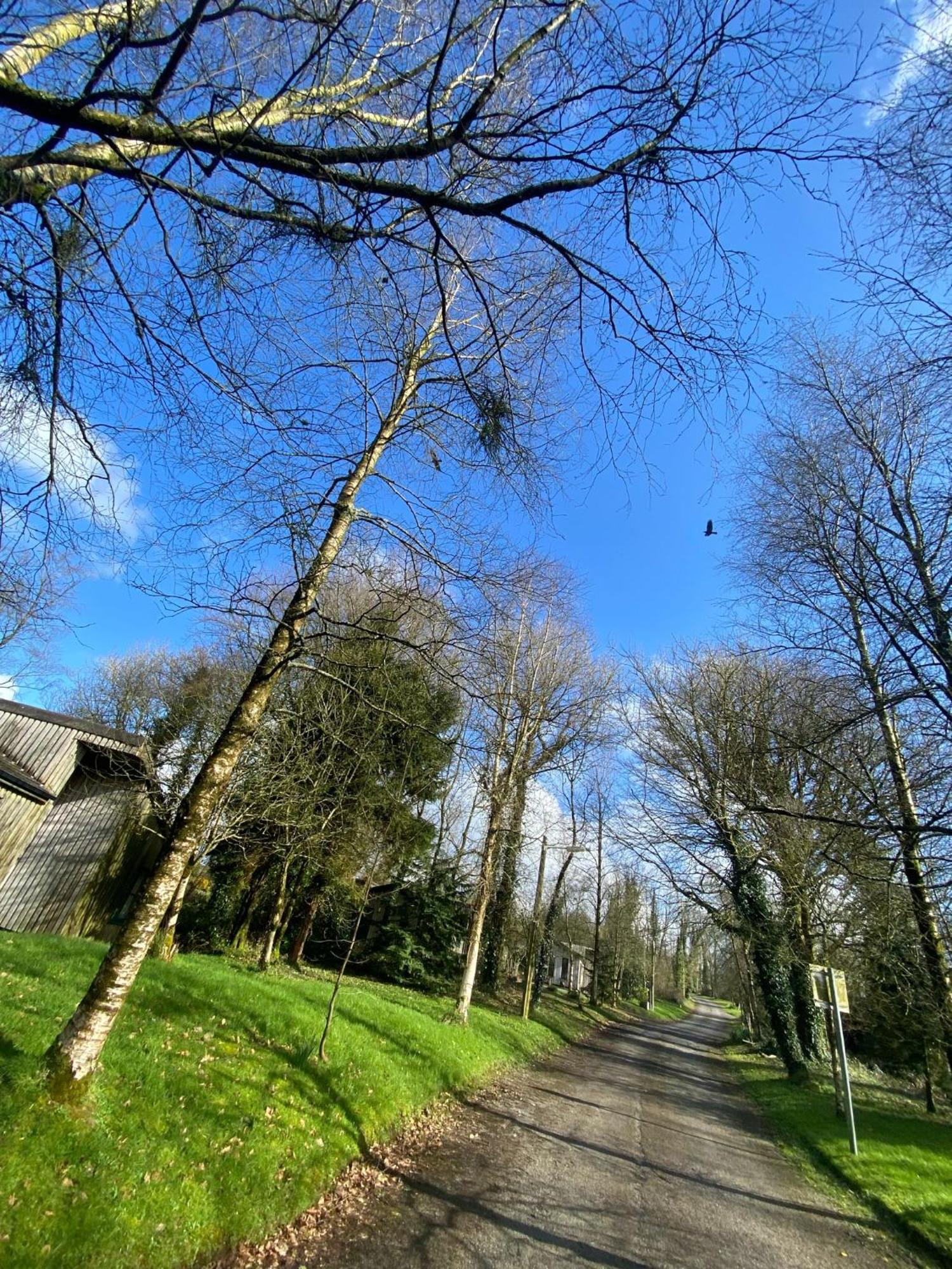 Ballyhoura Mountain Lodges Ballyorgan Luaran gambar