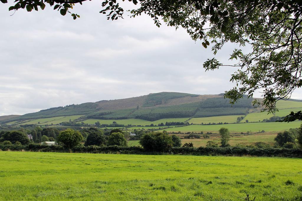 Ballyhoura Mountain Lodges Ballyorgan Bilik gambar